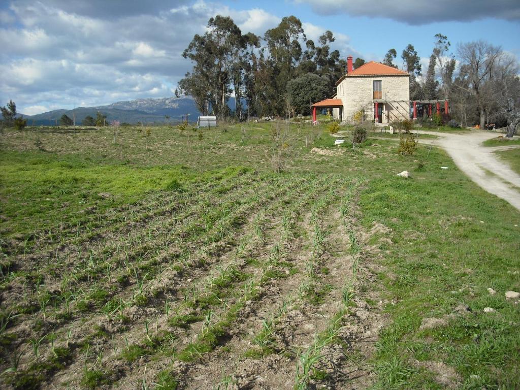 Quinta Da Alma Cheia Guest House Ninho do Acor Exterior photo