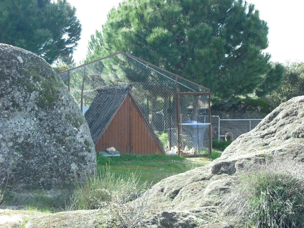 Quinta Da Alma Cheia Guest House Ninho do Acor Exterior photo