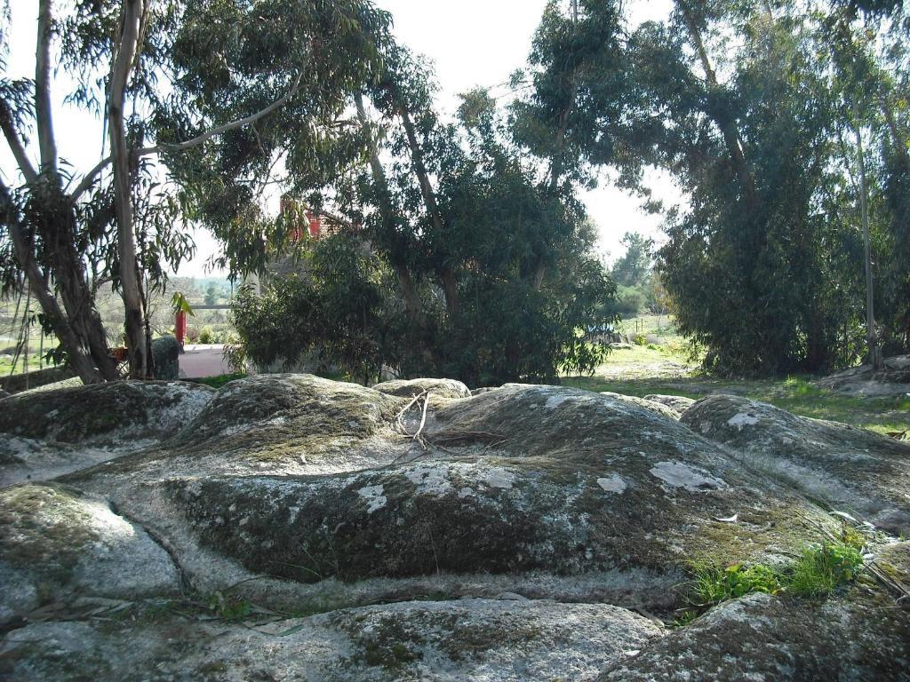 Quinta Da Alma Cheia Guest House Ninho do Acor Room photo